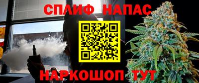 сатива Нальчик