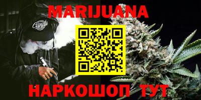 кокс Можга
