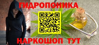кокс Можга